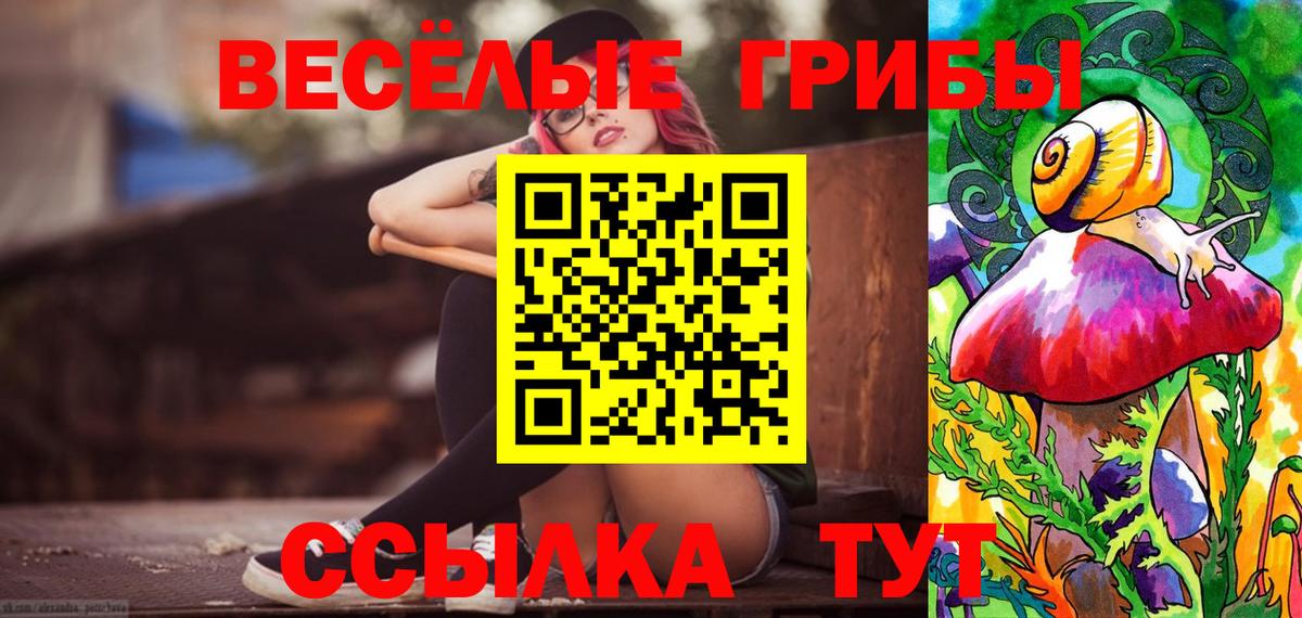 Туймазы  Псилоцибиновые грибы Psilocybe  Псилоцибиновые грибы Psilocybine cubensis  Вход с VPN 
